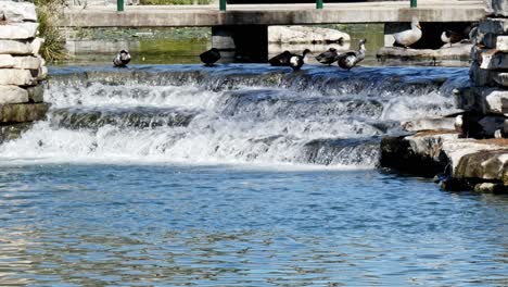 Wasserwehr,-Das-Den-Fluss-Hinunterfließt,-Malerische-Aufnahme-Des-Touristischen-Ortes-Der-Stadt