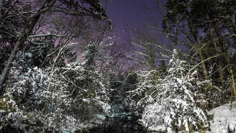 Ein-Ruhiger-Bach-Fließt-Durch-Schneebedeckte-Bäume-Unter-Einem-Sternenklaren-Nachthimmel
