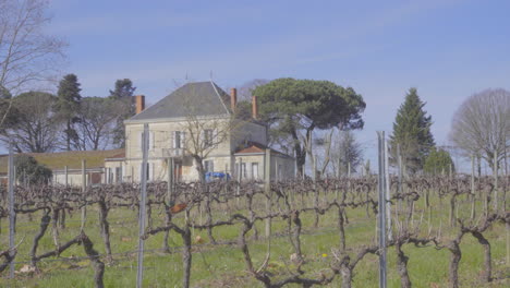 Winter-French-Vineyard-with-house-in-the-background