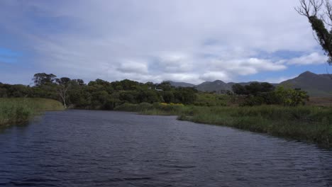 Boat-cruise-through-beautiful-nature-on-South-African-river,-Hermanus