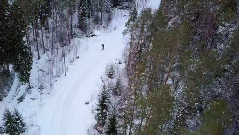 Aerial,-top-down-view,-skier-in-winter-forest