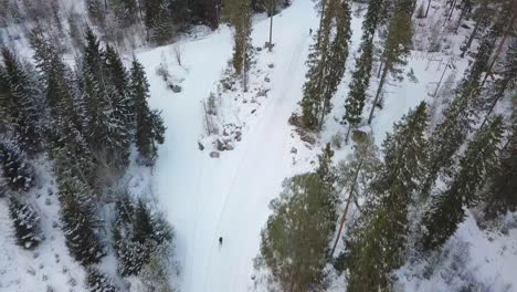 Aerial-view,-Drone-following-cross-country-skier,-passing-fallen-trees