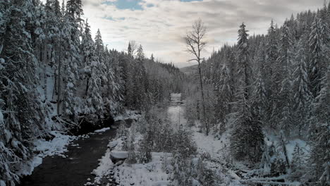slow-decent-winter-forest-creek