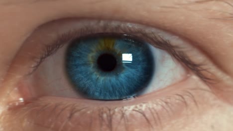 Nahaufnahme-Eines-Blauen-Auges