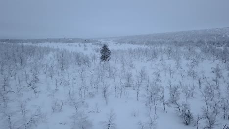 Las-Llanuras-Abiertas-Durante-El-Invierno-En-Noruega,-Cerca-De-La-Frontera-Sueca