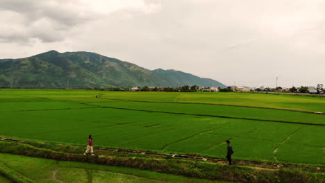 Two-people-are-walking-toward-each-other-on-the-Green-Field,-Phu-Yen,-Vietnam