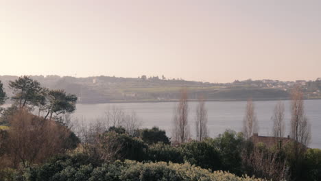 Weitwinkelaufnahme-Des-Flusses-Douro-Mit-Einigen-Gebäuden-In-Vila-Nova-De-Gaia-Im-Hintergrund-Und-Etwas-Grün-Im-Vordergrund