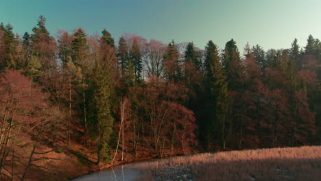 Winter-See-Drohne-Flug-Antenne-Gefrorenes-Wasser-Wald-Kiefern-Sonnenuntergang-Sonnenlicht-Lichtstrahlen-Pruhonice-Tschechien