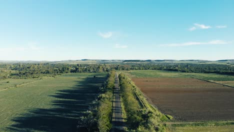 AERIAL-Of-Tree-Line-with-Tar-Road-in-the-Middle-with-Green-Trees-and-Green-Field