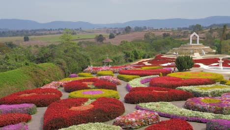Jardín-De-Flores-En-El-Parque-Nacional-Flor-Silvestre-En-El-Parque-Nacional-Khao-Yai