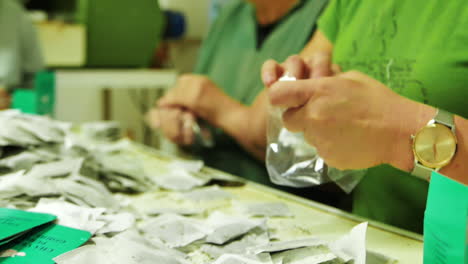 Nahaufnahme-Der-Hände-Von-Arbeitern,-Die-Teebeutel-In-Einer-Teeplantagenfabrik-Auf-Der-Insel-Sao-Miguel-Auf-Den-Portugiesischen-Azoren-Verpacken