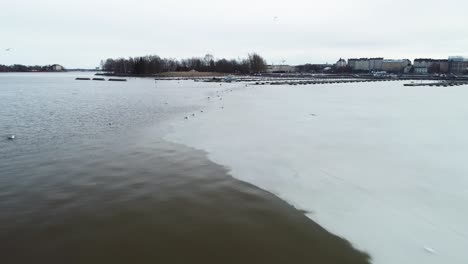 Bewegende-Aufnahme-Einiger-Vögel,-Die-Von-Einem-Eisschelf-In-Helsinki,-Finnland,-Stehen-Und-Fliegen