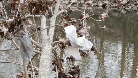 Plastic-trash-hanging-from-tree-by-river