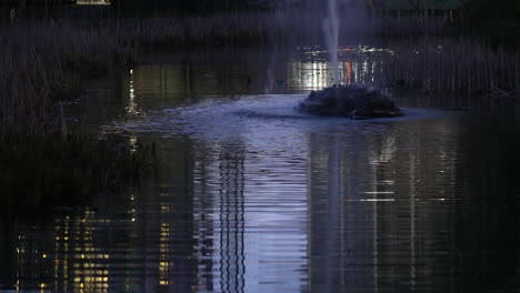 Night-at-the-park,-water-reflection-of-a-fountain,-urban-paradise
