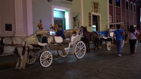 Line-of-horse-carriages-waiting-for-customers-at-night-in-Merida,-Yucatan,-Mexico