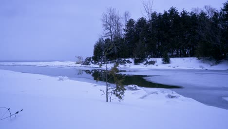 Schieberbewegung-Eines-Isolierten-Baumes-In-Einer-Schneebedeckten-Landschaft-In-Den-Großen-Seen