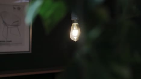 special-light-bulb-is-revealed-through-some-greenery