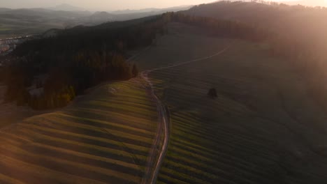 Hohe-Luftaufnahme-Mit-Blick-Auf-Die-Straße,-Die-Bei-Sonnenuntergang-In-Den-Wald-Führt,-Mit-Grellem-Sonnenlicht