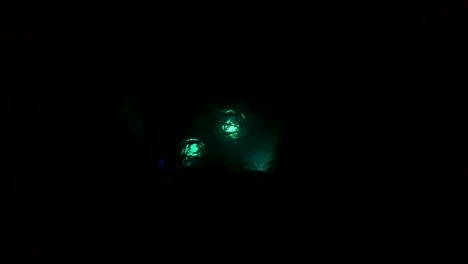 Taucher-Tauchen-Nachts-Unter-Wasser-Und-Nutzen-Taschenlampen-Zum-Erkunden
