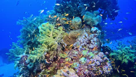 Von-Der-Natur-Geschaffene-Unterwasserstruktur