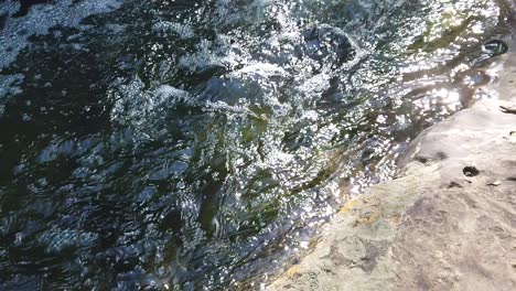 Dies-Ist-Ein-Zeitlupenvideo-Von-Wasser,-Das-Durch-Den-Stone-Creek-In-Flower-Mount-Texas-Fließt