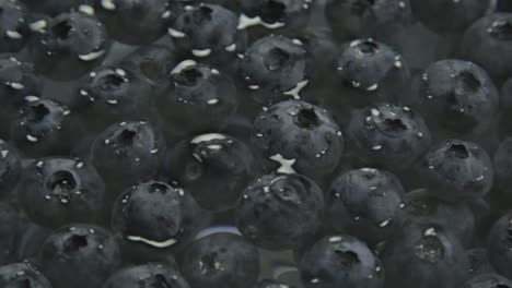 blueberries-floating-on-surface-of-water-with-black-background