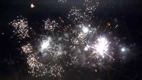 Night-Fireworks-looking-through-the-branches-full-HD-60fps