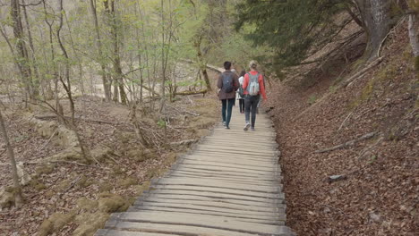 The-man-made-wooden-walkways-through-the-forests-of-Plitivce-National-Park-in-Croatia