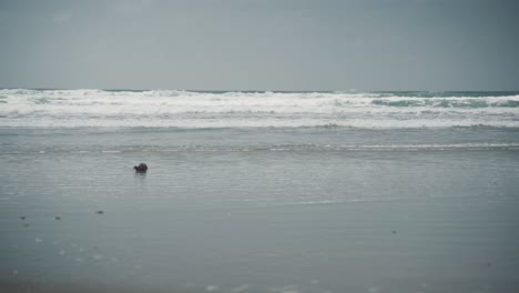 Beach-waves-from-Oregon-Coast