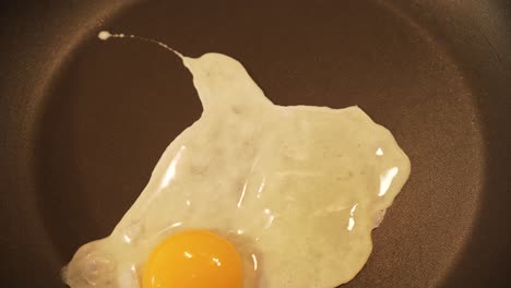 Pouring-egg-into-teflon-pan-and-frying-it---closeup