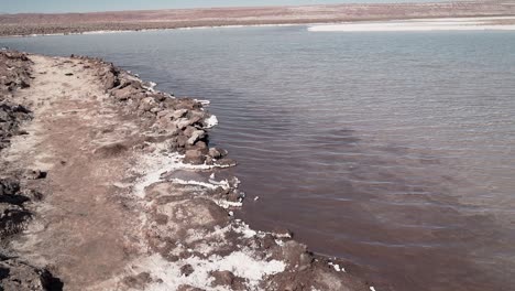 Laguna-Baltinache,-Desierto-De-Atacama,-Chile,-Sudamérica