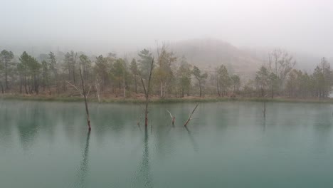 Flying-near-a-dead-branches-over-a-lake-in-a-foggy-lake