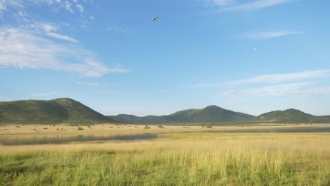 Eine-Aufnahme-Eines-Flugzeugs,-Das-Am-Pilanesberg-Nationalpark-In-Südafrika-Vorbeifliegt