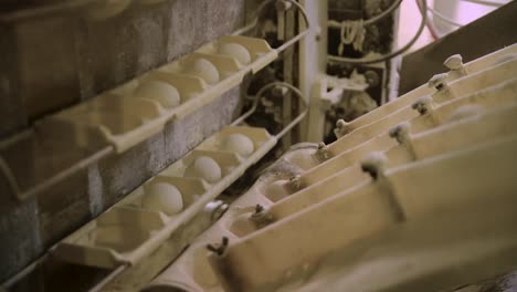 Balls-of-dough-in-a-production-line-of-industrial-automated-bread-factory