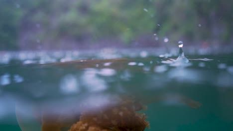 close-up-on-an-orange-jellyfish-swimming-in-slow-motion-at-the-surface-of-a-lake-when-it's-raining