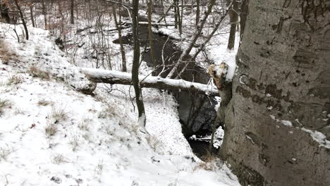 River-running-in-the-forest-during-winter