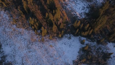 Draufsicht-Auf-Den-Schnee-In-Einem-Spärlichen-Wald-In-Der-Norwegischen-Landschaft
