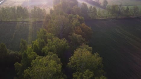 Aerial-landscape-shot,-following-the-road-hidden-in-trees-during-sunrise