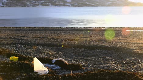 Plastic-trashes-at-beach-of-the-arctic-ocean