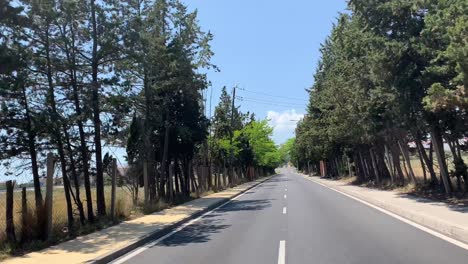 Fahren-Sie-Eine-Straße-Mit-Büschen-Und-Bäumen-Hinunter