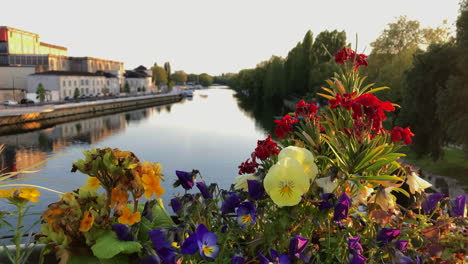 A-basket-of-flowers-overlooking-a-view-of-the-river-in-Cognac,-France