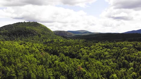 Fotografía-Cenital-De-La-Línea-De-árboles-En-Maine,-EE.-UU.