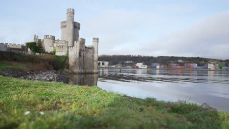 Pan-and-tilt-shot-of-a-flower-and-grass-in-the-foreground-and-then-focus-switches-to-blackrock-castle-on-the-edge-of-a-river-in-the-background