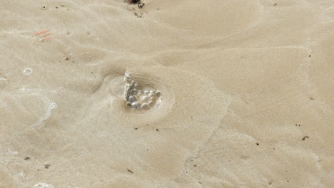 Bubbling-water-coming-up-from-holes-in-the-sandy-beach
