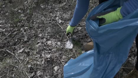 Cleaning-the-forest-from-the-trash