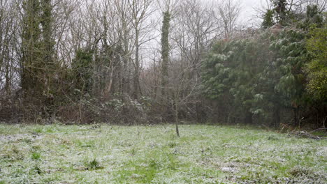 Snow-Fall-in-a-Small-Farm-Garden-in-Enland