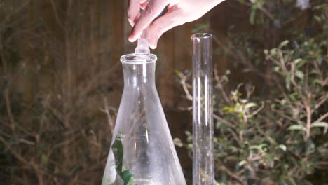 Pouring-green-liquid-into-a-test-tube-with-leaves-in-an-outdoor-environment