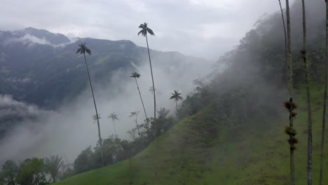 Cocora-Valley-Dolly-Drohne-Schoss-Durch-Nebel