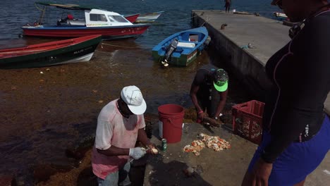 A-tourist-looking-at-fishermen-cleaning-and-preparing-conch-for-the-local-market