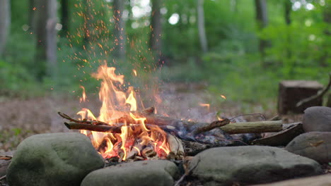 woman-throws-branches-into-a-campfire